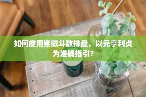 如何使用紫微斗数排盘，以元亨利贞为准确指引？