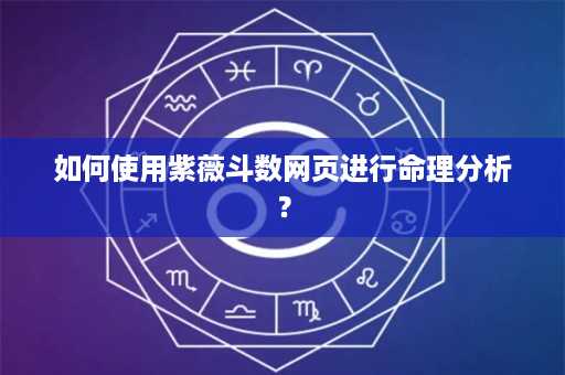 如何使用紫薇斗数网页进行命理分析？