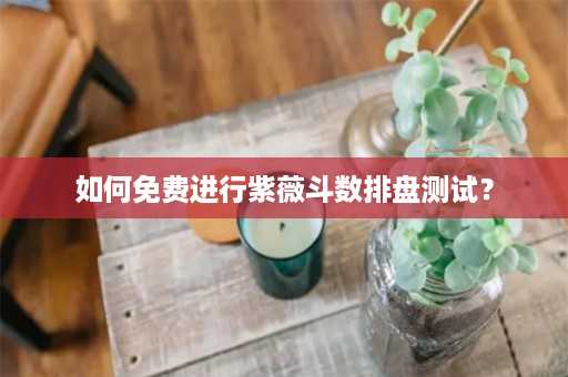 如何免费进行紫薇斗数排盘测试？