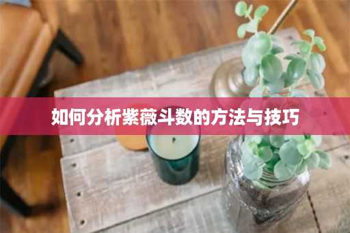 如何分析紫薇斗数的方法与技巧