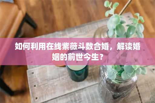 如何利用在线紫薇斗数合婚，解读婚姻的前世今生？