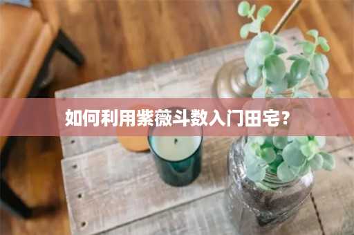 如何利用紫薇斗数入门田宅？