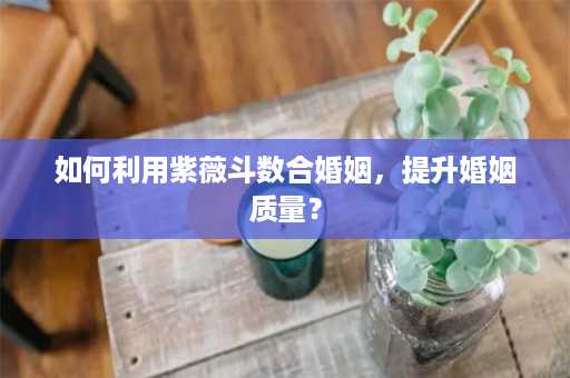 如何利用紫薇斗数合婚姻，提升婚姻质量？