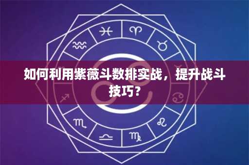 如何利用紫薇斗数排实战，提升战斗技巧？