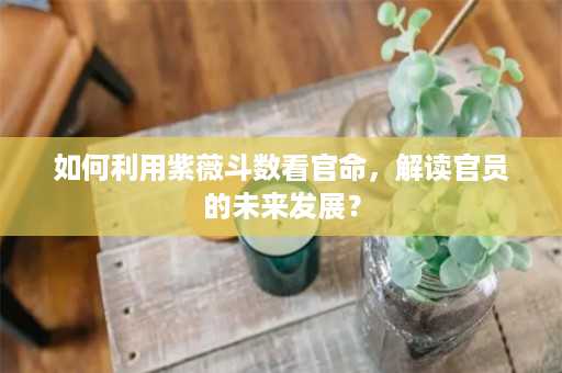 如何利用紫薇斗数看官命，解读官员的未来发展？