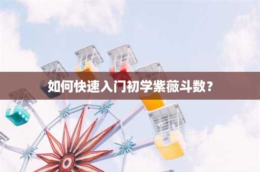 如何快速入门初学紫薇斗数？