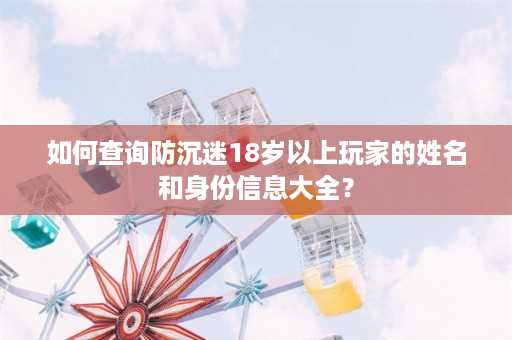 如何查询防沉迷18岁以上玩家的姓名和身份信息大全？