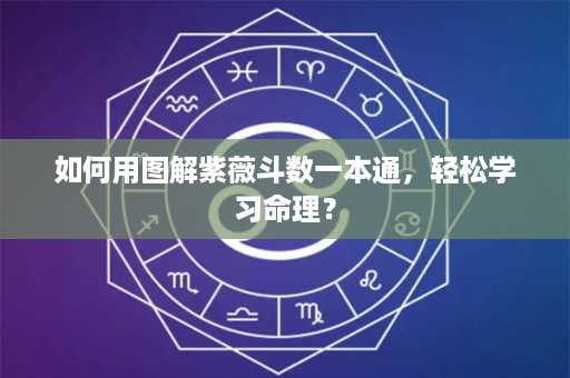 如何用图解紫薇斗数一本通，轻松学习命理？