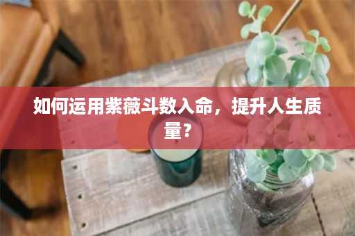 如何运用紫薇斗数入命，提升人生质量？