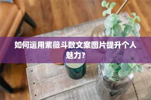 如何运用紫薇斗数文案图片提升个人魅力？