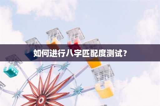 如何进行八字匹配度测试？