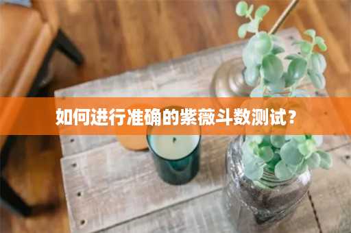 如何进行准确的紫薇斗数测试？