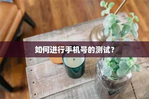 如何进行手机号的测试？