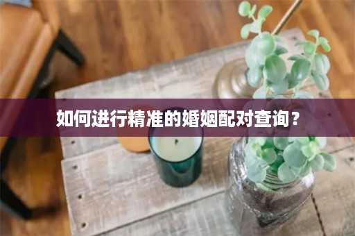 如何进行精准的婚姻配对查询？