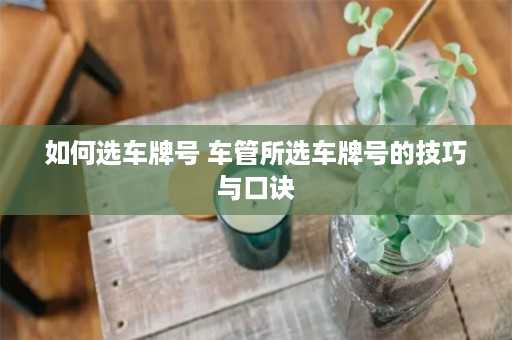 如何选车牌号 车管所选车牌号的技巧与口诀