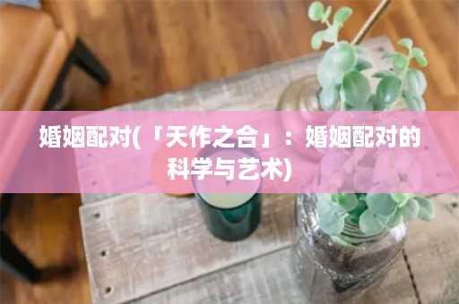 婚姻配对(「天作之合」：婚姻配对的科学与艺术)