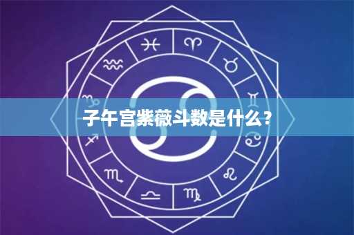 子午宫紫薇斗数是什么？