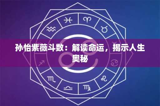 孙怡紫薇斗数：解读命运，揭示人生奥秘