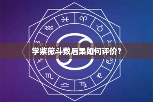 学紫薇斗数后果如何评价？