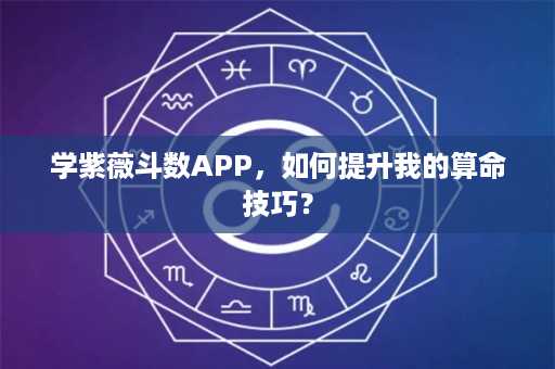 学紫薇斗数APP，如何提升我的算命技巧？