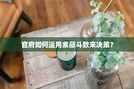 官府如何运用紫薇斗数来决策？