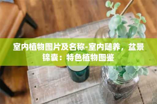 室内植物图片及名称-室内随养，盆景锦囊：特色植物图鉴