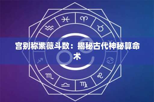 宫别称紫薇斗数：揭秘古代神秘算命术