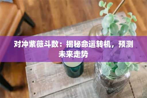 对冲紫薇斗数：揭秘命运转机，预测未来走势