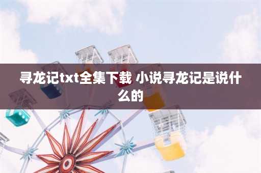 寻龙记txt全集下载 小说寻龙记是说什么的