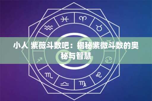 小人 紫薇斗数吧：揭秘紫微斗数的奥秘与智慧