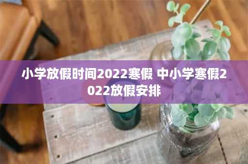 小学放假时间2022寒假 中小学寒假2022放假安排