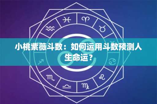 小桃紫薇斗数：如何运用斗数预测人生命运？