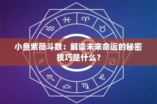 小鱼紫薇斗数：解读未来命运的秘密技巧是什么？