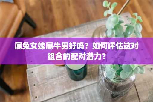 属兔女嫁属牛男好吗？如何评估这对组合的配对潜力？