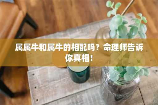 属属牛和属牛的相配吗？命理师告诉你真相！