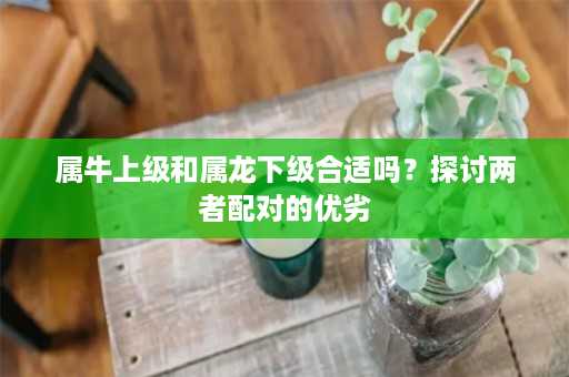 属牛上级和属龙下级合适吗？探讨两者配对的优劣