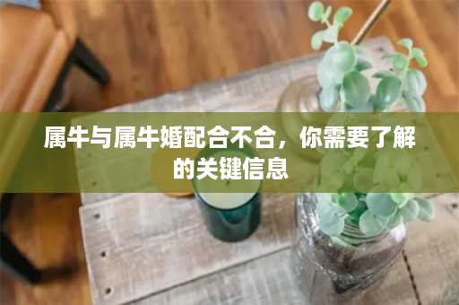 属牛与属牛婚配合不合，你需要了解的关键信息