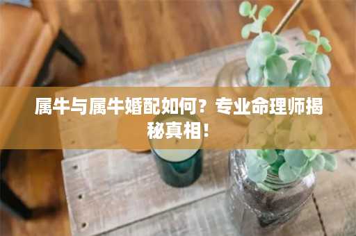 属牛与属牛婚配如何？专业命理师揭秘真相！