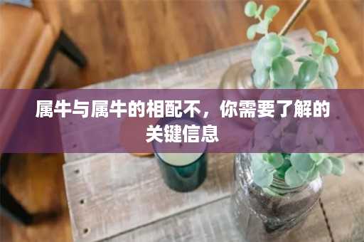 属牛与属牛的相配不，你需要了解的关键信息