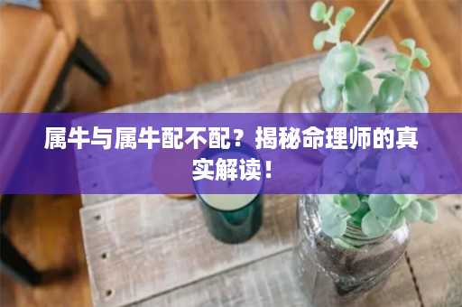 属牛与属牛配不配？揭秘命理师的真实解读！