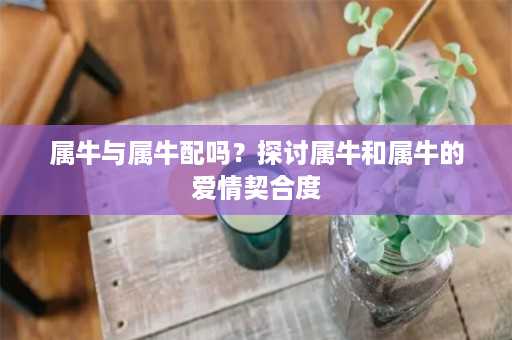 属牛与属牛配吗？探讨属牛和属牛的爱情契合度