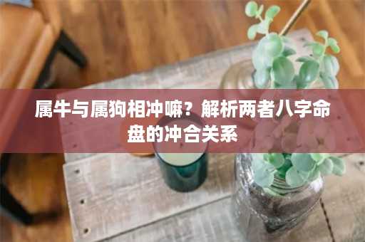 属牛与属狗相冲嘛？解析两者八字命盘的冲合关系