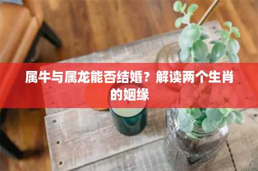 属牛与属龙能否结婚？解读两个生肖的姻缘