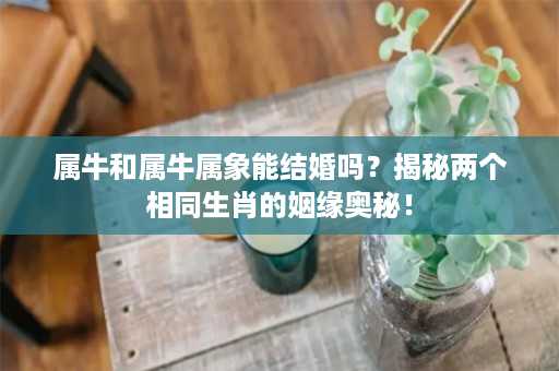 属牛和属牛属象能结婚吗？揭秘两个相同生肖的姻缘奥秘！