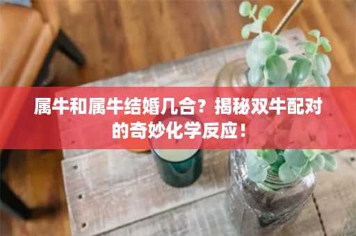 属牛和属牛结婚几合？揭秘双牛配对的奇妙化学反应！