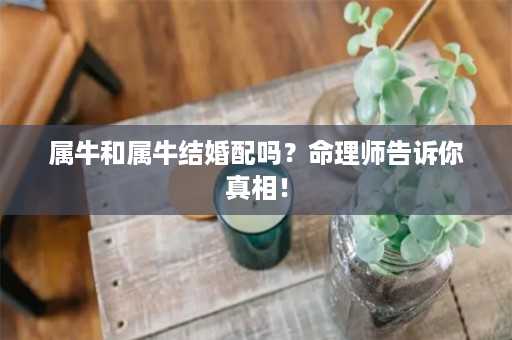 属牛和属牛结婚配吗？命理师告诉你真相！