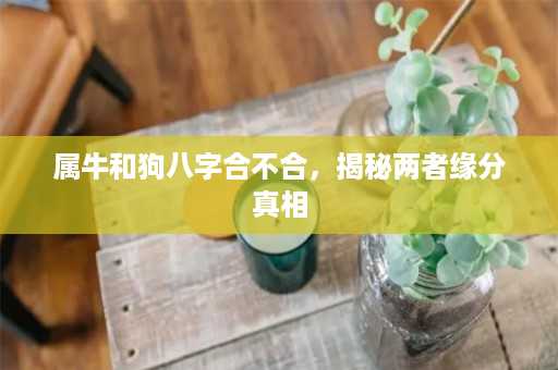 属牛和狗八字合不合，揭秘两者缘分真相