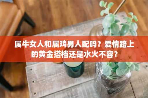 属牛女人和属鸡男人配吗？爱情路上的黄金搭档还是水火不容？