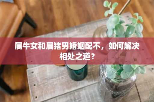 属牛女和属猪男婚姻配不，如何解决相处之道？