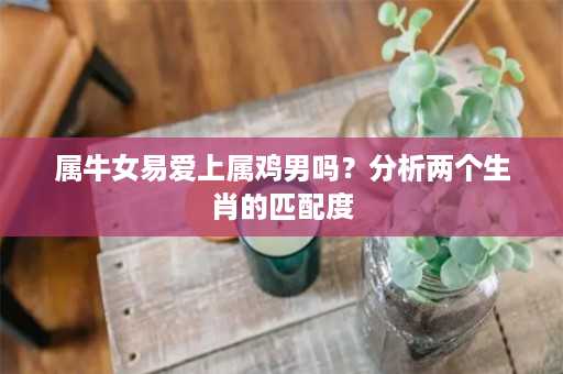 属牛女易爱上属鸡男吗？分析两个生肖的匹配度